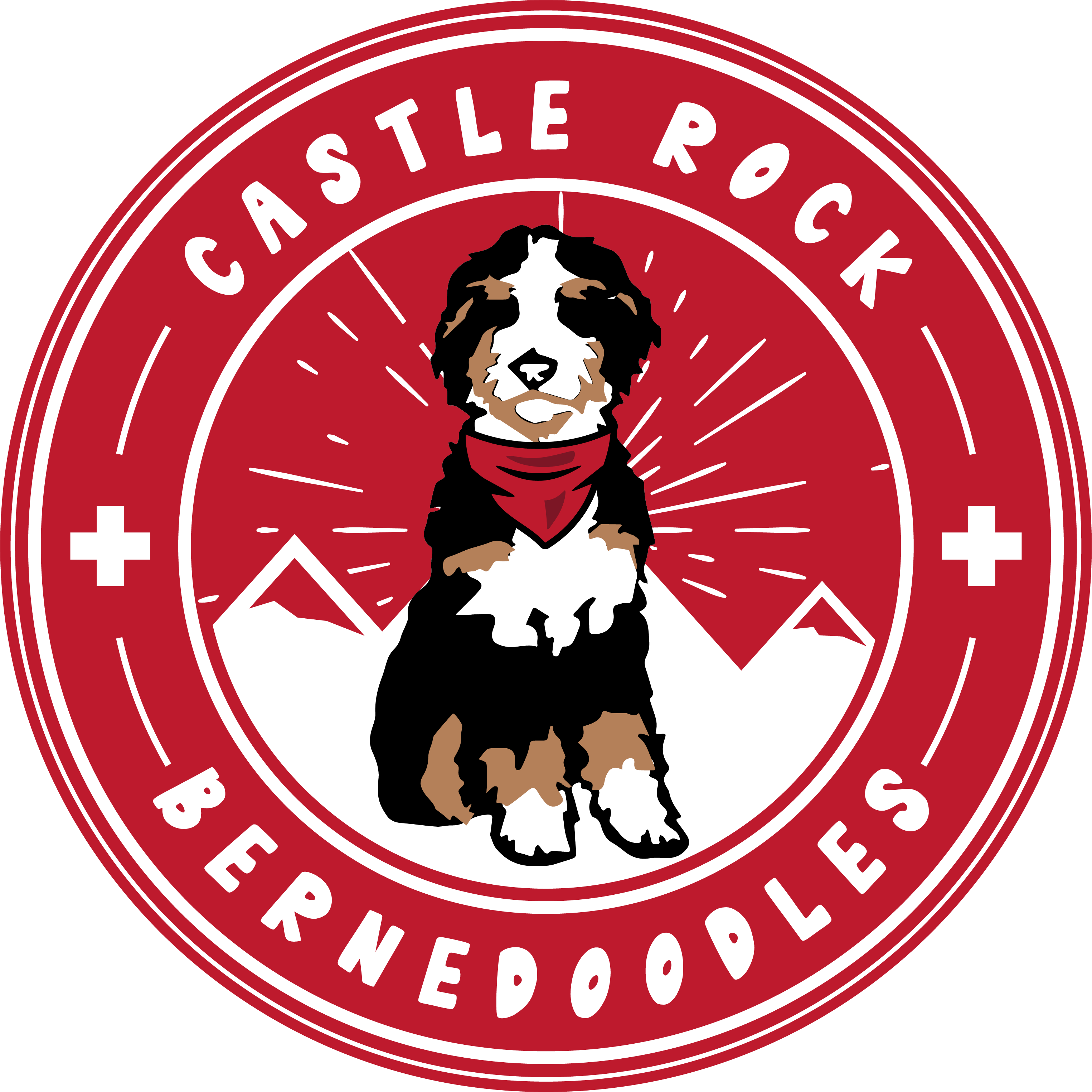 Castle Rock Bernedoodles